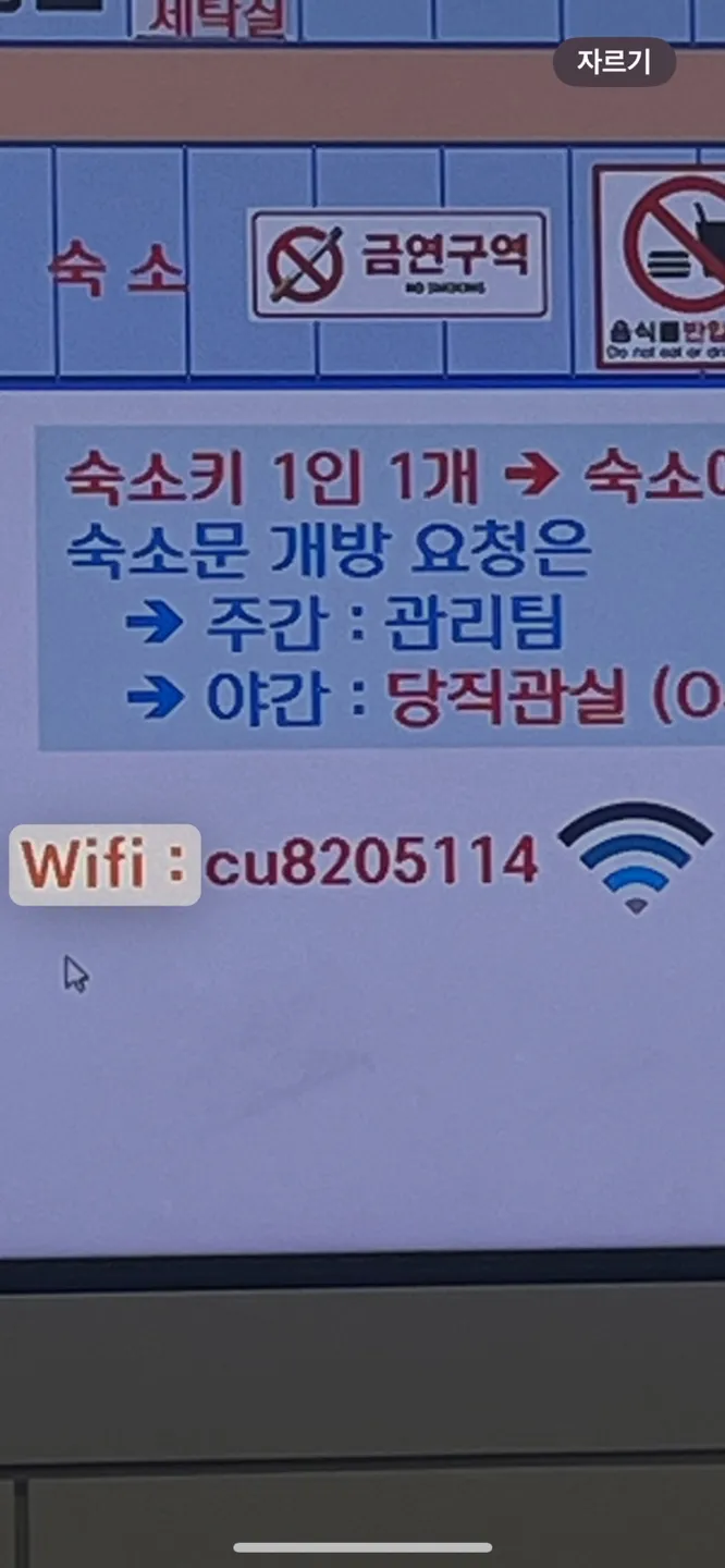 댓글 첨부 이미지